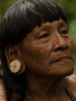 Bővebben: A guarani közösség