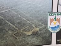 Bővebben: Döbbenten csodálom azt a fáradhatatlan küzdelmet