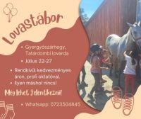 Bővebben: Lovastábor Gyergyószárhegyen
