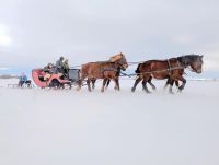 Bővebben: Pánikra nincs ok, jön a tavasz!