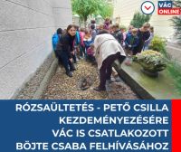 Bővebben: Rózsaültetés- Pető Csilla kezdeményezésére Vác is csatlakozott Böjte Csaba felhívásához