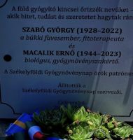 Bővebben: Megemlékezés Csíksomlyón