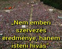 Bővebben: 2026. május 30. Tranzitus: - Jézusnak hatalma van felettem?