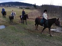 Bővebben: Lovaglás a természetben