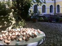 Bővebben: Dévai csendélet…