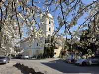 Bővebben: Virágba borult Déva
