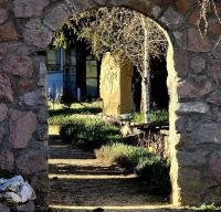 Bővebben: 2026. április 29. - Tranzitus - az én igám édes, s az én terhem könnyű