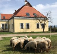 Bővebben: Világunkból kitörve induljunk el...