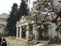 Bővebben: Székelyhídon gyönyörű virágok nyílnak