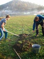 Bővebben: A gyermekek fát ültetnek