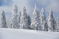 Bővebben: Téli álomtakaró