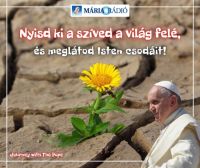 Bővebben: Nyisd ki a szíved...