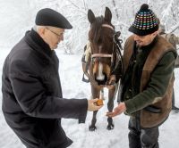 Bővebben: Az evangéliumi pásztor