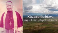 Bővebben: Küzdve és bízva
