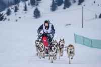 Bővebben: Világbajnok lett az óradnai plébános