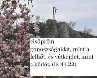 Bővebben: 76. nap - Exodus 90- Elsöpröm gonoszságaidat