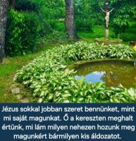Bővebben: 3. Nap - 3. fejezet: -  Szent Ferenc a lelkivezetőnk