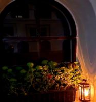 Bővebben: Istennek legyen hála itt vagyok Csíksomlyón! 