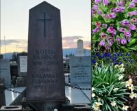 Bővebben: 2026. április 26. - Tranzitus - Jézus a a Jó Pásztor!