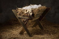 Bővebben: Adventi pirkadat - Advent 3. hete - szombat
