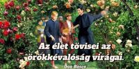Bővebben: Az élet tövisei