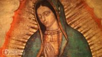 Bővebben: A Guadalupei Boldogságos Szűz Mária