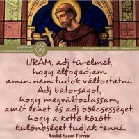 Bővebben: Adj...