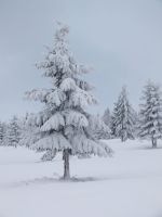 Bővebben: Ragyog a tél körülöttünk