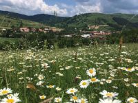 Bővebben: Induljunk el az ő szavára
