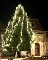 Bővebben: Szerencsésen megérkeztünk Székelyhídra!