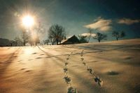 Bővebben: Advent huszonharmadik napja: Szent nyugalom!