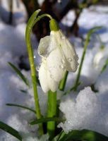 Bővebben: 2017. február 11. – Szombat 