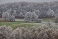Bővebben: Hideg van, most az elmúlás az úr!