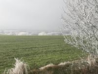 Bővebben: A tavaszt várva...
