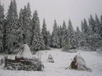 Bővebben: REMÉNYSÉGEM INGECSKÉJE!