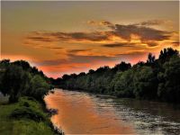 Bővebben: Virágzik a Tisza! 