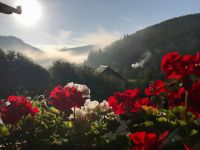 Bővebben: Kányádi Sándor: ŐSZELŐ