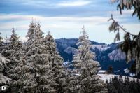 Bővebben: Indulunk Székelyföldre 