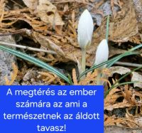 Bővebben: 60. nap- Exodus 90- Megtérés!