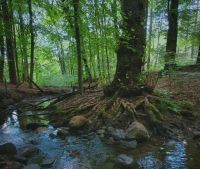 Bővebben: Ha eső van, MINDEN van