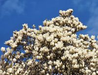 Bővebben: Legyen a mi szívünk Jeruzsálem!