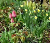 Bővebben: Szeretlek te szép világ!