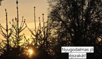 Bővebben: Esti ima