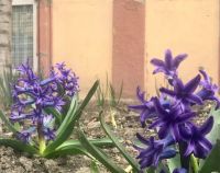 Bővebben: Itt a tavasz - mese nincs!!!