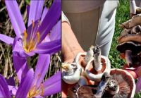 Bővebben: Isten világa gyönyörű