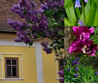 Bővebben: 2026. április 22. Tranzitus -Aki hozzám jön, nem utasítom el