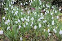 Bővebben: Szeretettel köszöntelek