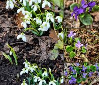 Bővebben: 2026. március 18. - Tranzitus - „Az én Atyám szüntelenül munkálkodik, ugyanúgy munkálkodom én is.”