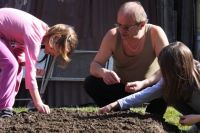 Bővebben: Tavaszi kertészkedés Kovásznán