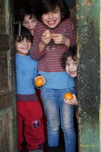 b_300_300_16777215_00_images_stories_Alapitvany_Hirek_16196069_1270624419679840_3125547191135560322_n.jpg